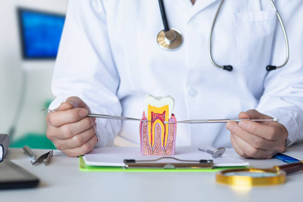 Best Emergency Dental Care for Abscessed Tooth in Five Points, NC